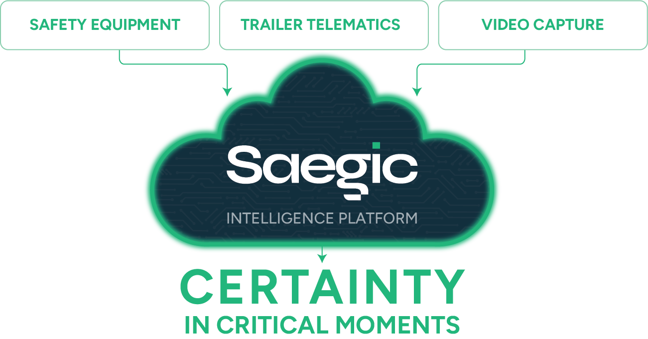 Intelligence Ecosystem