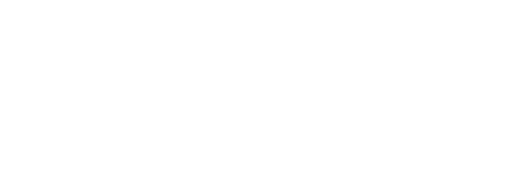 Safe Fleet Logo