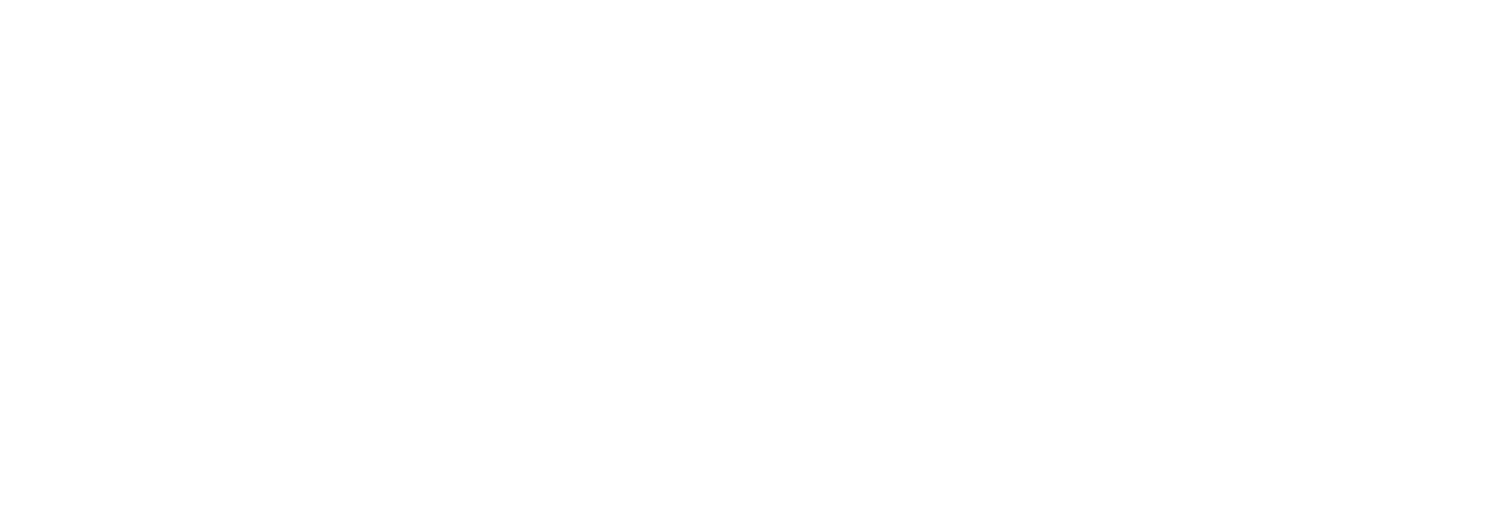 Seon Logo