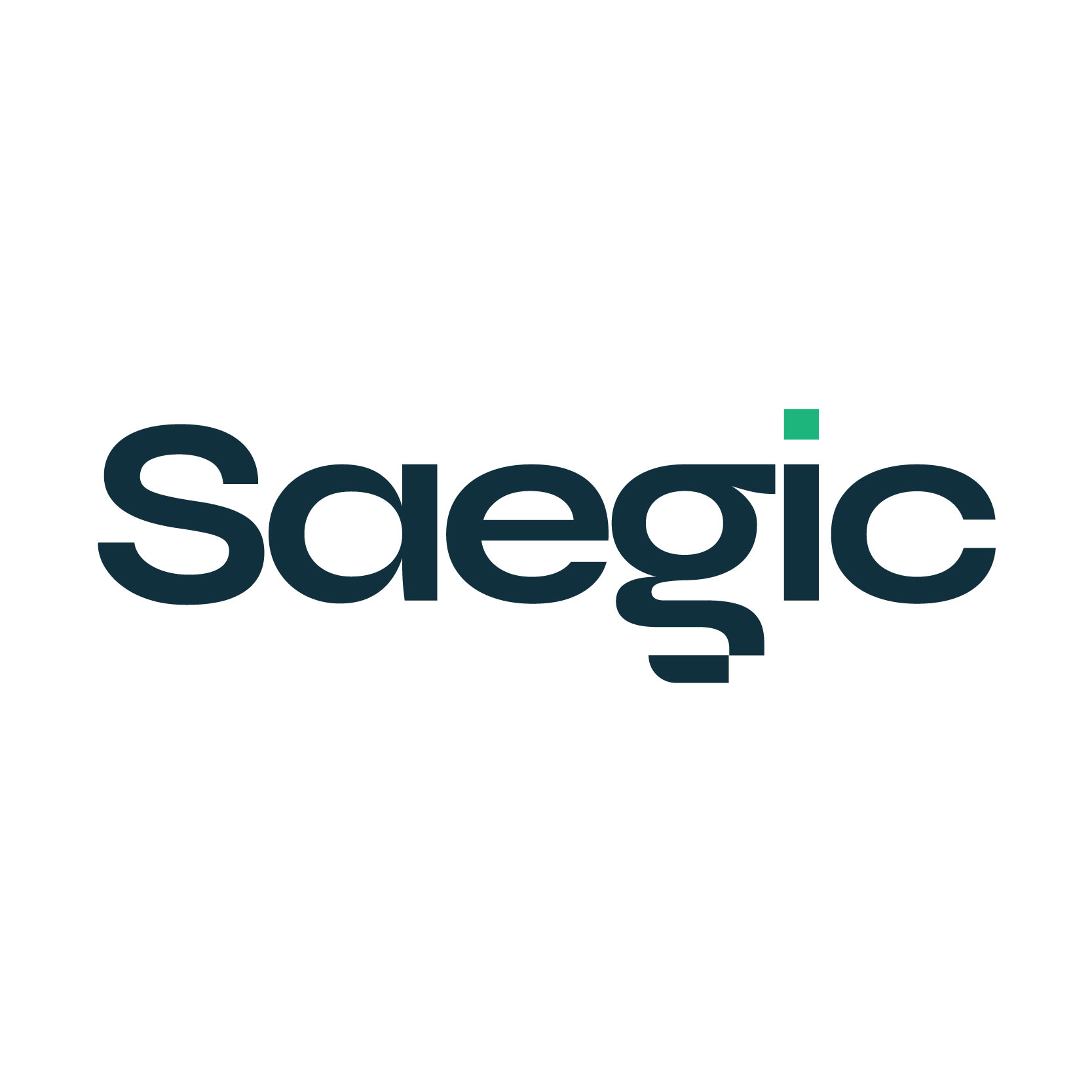saegic logo